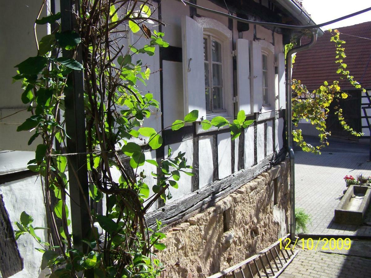 Chambres D'Hotes Sabine Billmann Hunspach Buitenkant foto