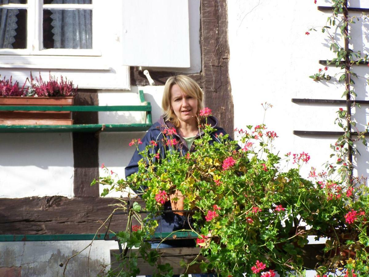 Chambres D'Hotes Sabine Billmann Hunspach Buitenkant foto
