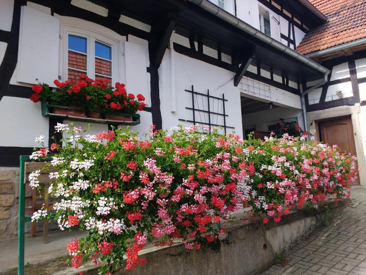 Chambres D'Hotes Sabine Billmann Hunspach Buitenkant foto
